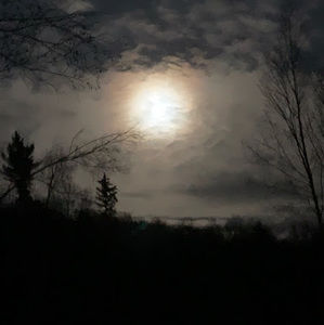 Meet your Posher, Sean